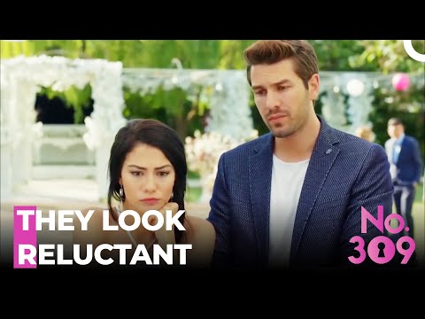 They Don't Want To Go Back To Past - No.309