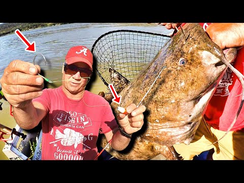 THIS Catfish Fishing Setup Catches MONSTERS!!! How To Locate and Catch Trophy Catfish!