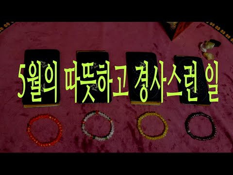 [타로] 5월의 따뜻하고 경사스런 일은?🥰