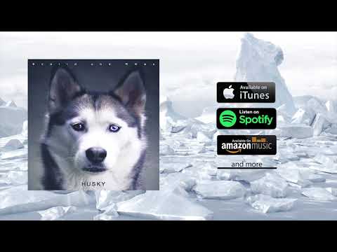 Scalid und Rmax - Husky (prod. by Scalid&Rmax)
