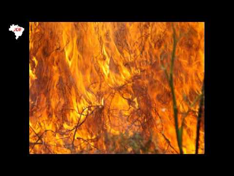 FLORESTA DO AMAZONAS - LOVE SONG-FOREST FIRE bY HEITOR VILA-LOBOS - SUNG BY BIDÚ SAYÃO