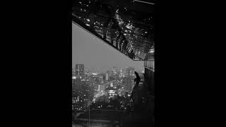 The Field Mice - Missing The Moon