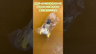 3/26登場 ホロライブ #hololive IF -Relax time-　大空スバル　重心開封情報