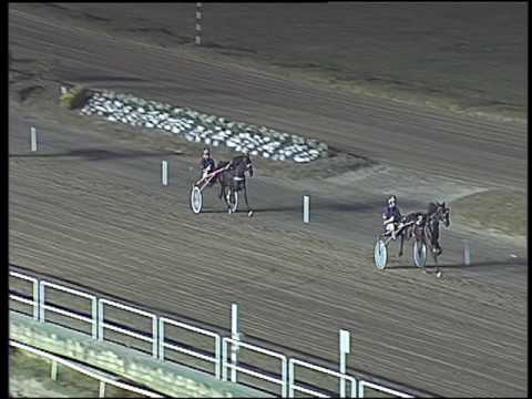 Trotto 04/09/2016 - 1° prova di qualifica