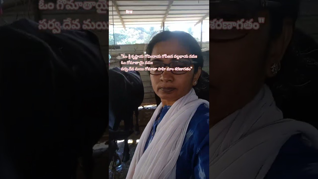 #jaishrikrishna #gomatha #govinda #krishna #krishnabhakti #devotional #bhakti #hindudharma #gopooja