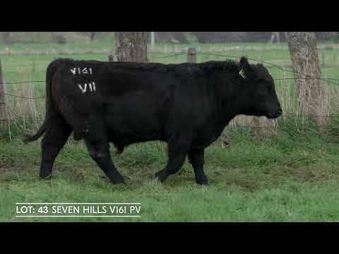 Lot 43  SEVEN HILLS V161 PV