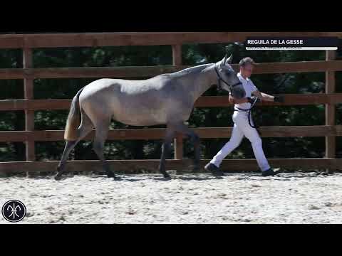 REGUILA DE LA GESSE - F - PSL - 2021