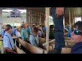 Video 'The Amish Moving a Building'
