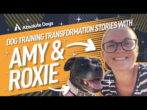 Transformation Stories — Amy and Roxie