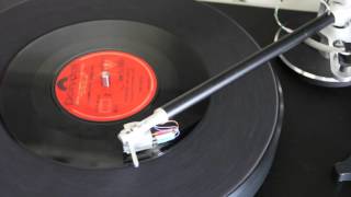 Tim Maia : Primavera (vai chuva)