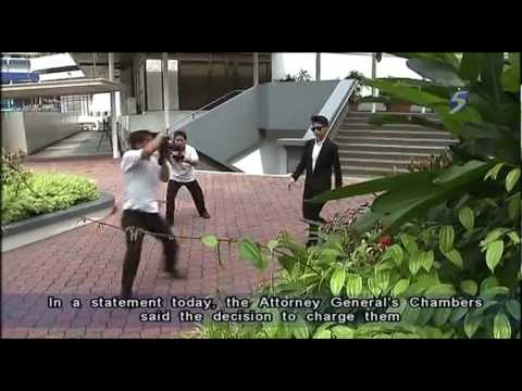 Sticker Lady charged in court - 26Mar2013