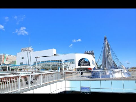 動画サムネイル