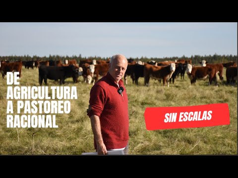 ¿Cómo pasar de Agricultura a Ganaderia Regenerativa SIN ESCALAS - Pastoreo Racional Voisin Argentina