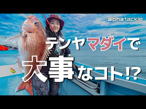 トップ | alphatackle トップ | alphatackle