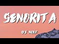 DJ Noiz Senorita Lyrics