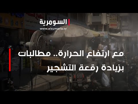شاهد بالفيديو.. في ظل ارتفاع درجات الحرارة.. مطالبات بزيادة رقعة التشجير