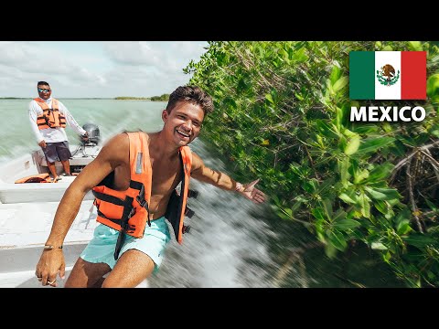 We took a Private Boat Tour in Tulum Mexico (Sian Ka'an Mangroves)
