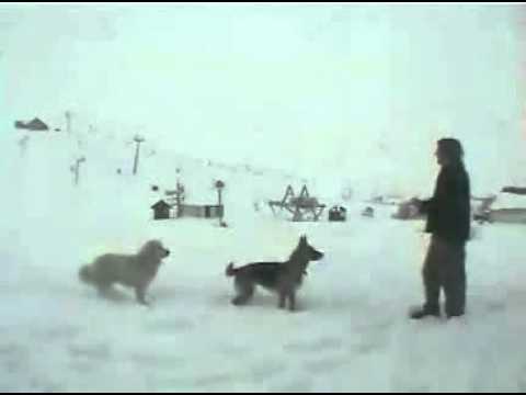 Facundo Arana y Pampa