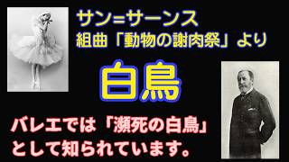 Download lagu サン=サーンス　組曲「動物の謝肉祭」より「白鳥」     Camille Saint-Saëns     Le Cygne(The Swan)  [DTM] mp3