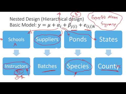 Nested Design Video