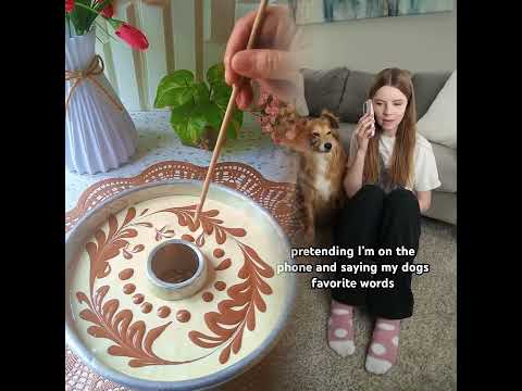 Pranking my dogs #tiktokuni #fypシ゚viral #pov #foryoupage #fypツ