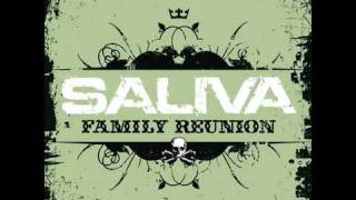 Saliva Family Reunion ( music video )