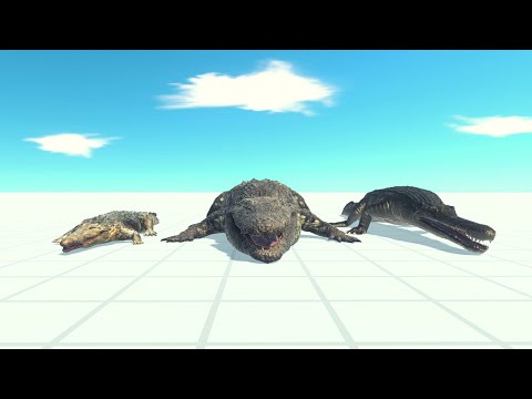 Croco Team Vs Every Unit ARBS |Animal Revolt Battle Simulator