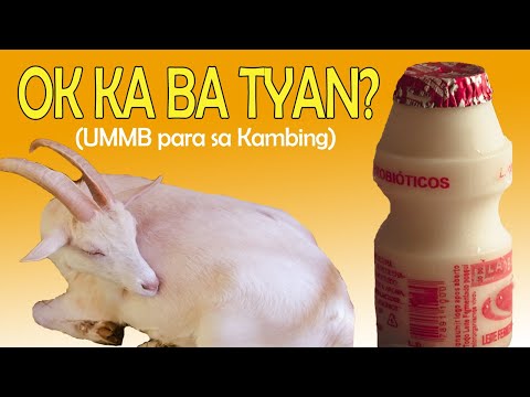 Importante ba ang UMMB