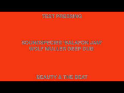 Soundspecies 'Balafon Jam Wolf Muller Deep Dub' Beauty & The Beat