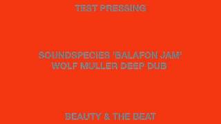 Soundspecies 'Balafon Jam Wolf Muller Deep Dub' Beauty & The Beat