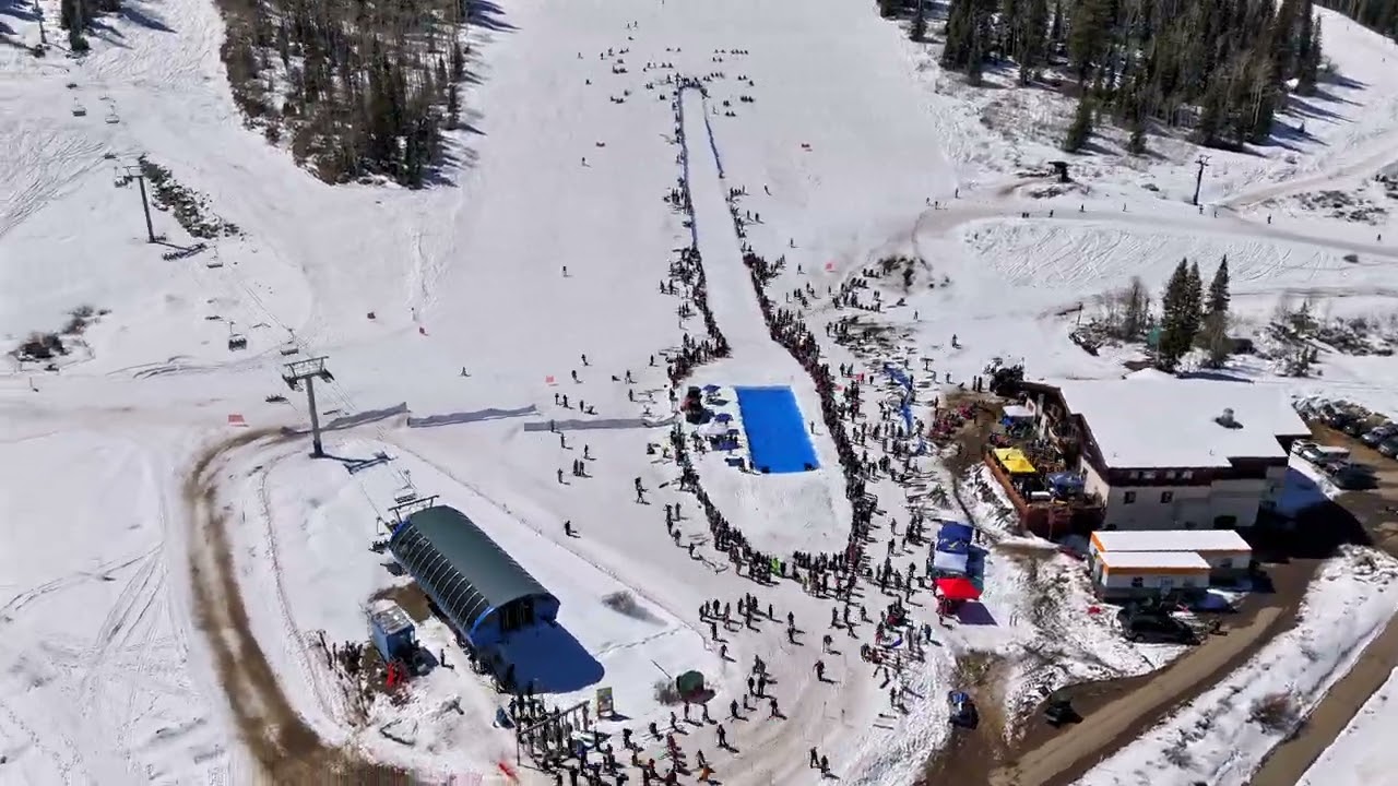 Aerial clip
