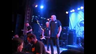 COCK SPARRER IN NYC FOR FIRST TIME IN 15 YEARS