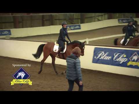 Blue Chip All Star Academy Series 2