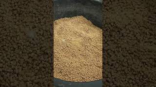 Download lagu Sukses Beternak Pebek Tanpa Bau - Amar Farm Jogja - Peluang Usaha di Desa mp3