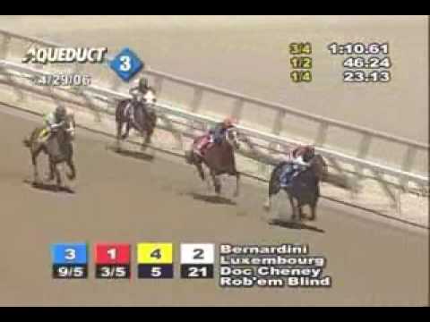 Bernardini - 2006 Withers Stakes