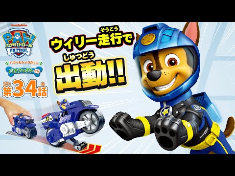【パウ・パトロール】パウフェクトTV 新しいアニメ「モーター・パウ」のビークルをパウっと紹介！