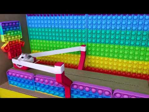 🐹 Hamster Escapes the Pop It Maze for Pets in real life 🐹 2