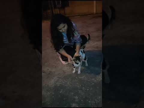 My last meeting with Atisha