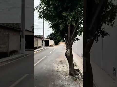 Ruas de Dom Basílio Nordeste do Brasil