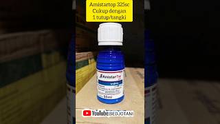 Download lagu fungisida amistartop 325sc ampuh mengedalikan penyakit jamur pada tanaman padi#petanimuda #fyp mp3 Download lagu fungisida amistartop 325sc ampuh mengedalikan penyakit jamur pada tanaman padi#petanimuda #fyp mp3