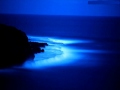 Guy Sweens - Temptation Of Mara