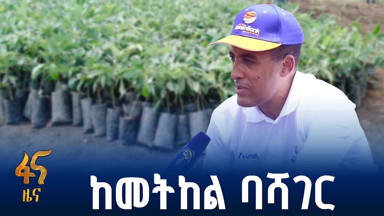 የአዋሽ ባንክና አዋሽ ኢንሹራንስ ኩባንያ የአረንጓዴ አሻራ