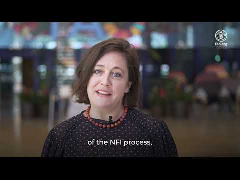 National Forest Inventory: Online facilitated course