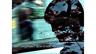 Brett Anderson - Ashes Of Us