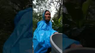 Download lagu kasihan ibu-ibu ini aaa #shorts #tiktok #viral #videoviral mp3