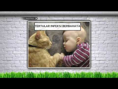 Pagi-Pagi 14 Desember 2015 - John Tumbel Ikut Bahas Asal Usul Cermin