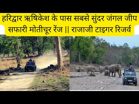 हरिद्वार ऋषिकेश के पास सबसे सुंदर जंगल जीप सफारी मोतीचूर रेंज || राजाजी टाइगर रिजर्व #haridwar