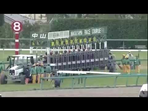 2014 NAKAYAMA GRAND JUMP(J.G1)