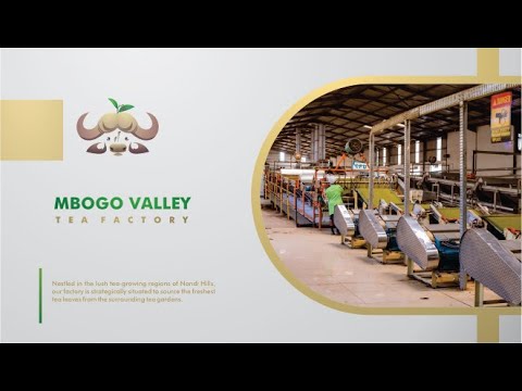 Mbogo Valley Tea Factory