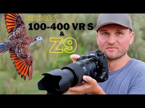 Nikon 100-400 VR S & Z9 | Must-Have MEGAZOOM? | DOUBLE your Focal Length with Teleconverters?
